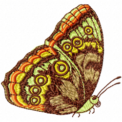 Butterfly Embroidery Design 2 Butterfly Embroidery Design 2